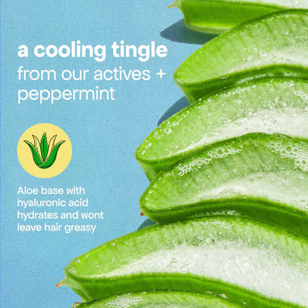 BONDI BOOST HG Lock Drops Daily Scalp Serum | Various Sizes